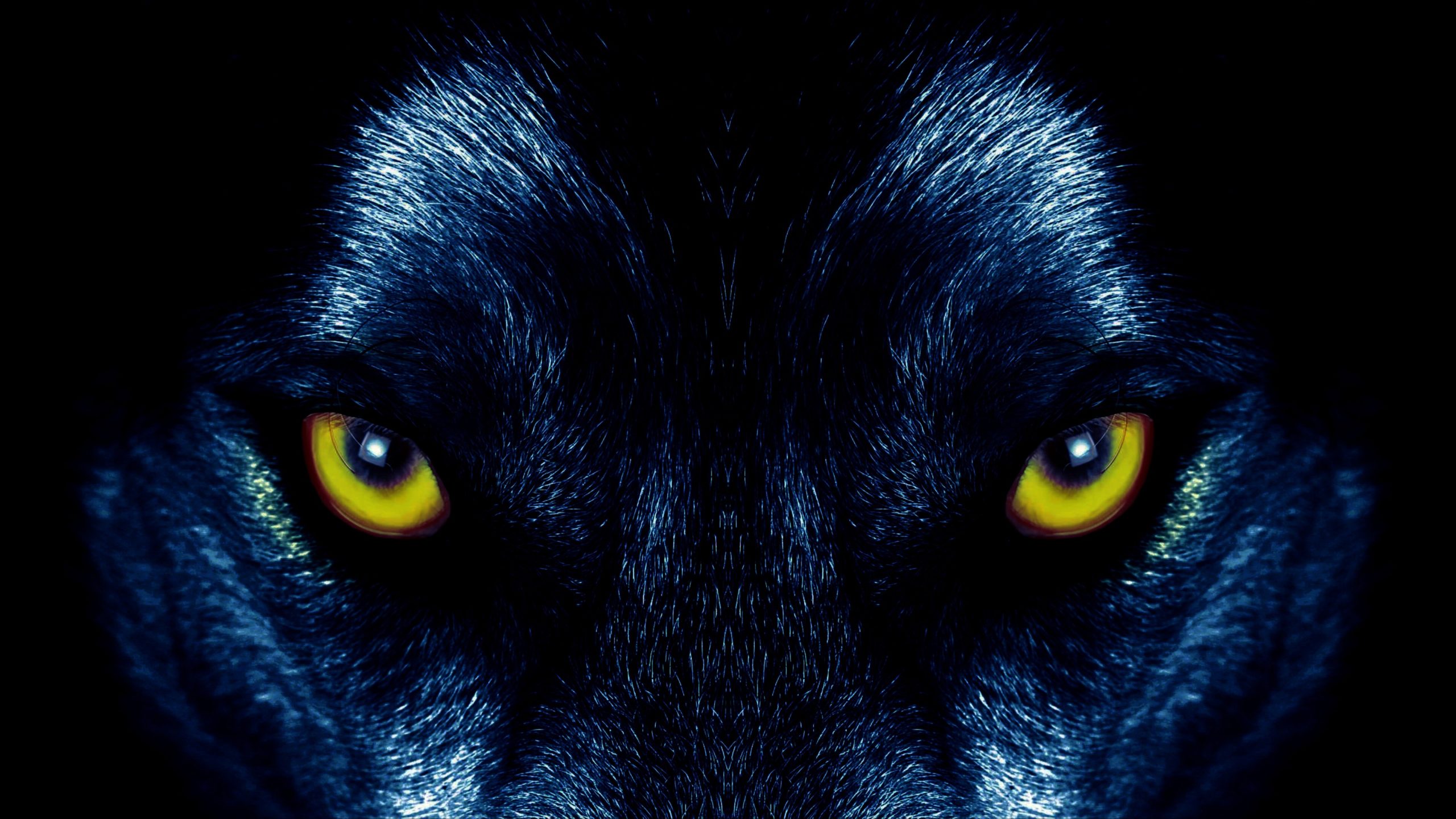 Image of Wolf's eyes