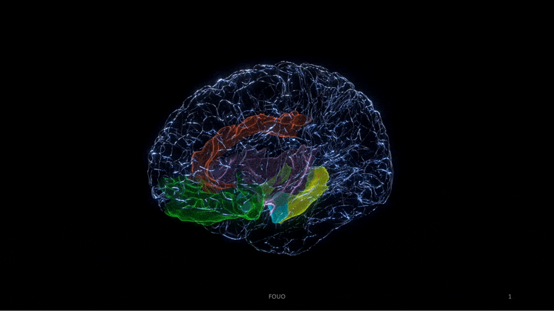 Image of a brain